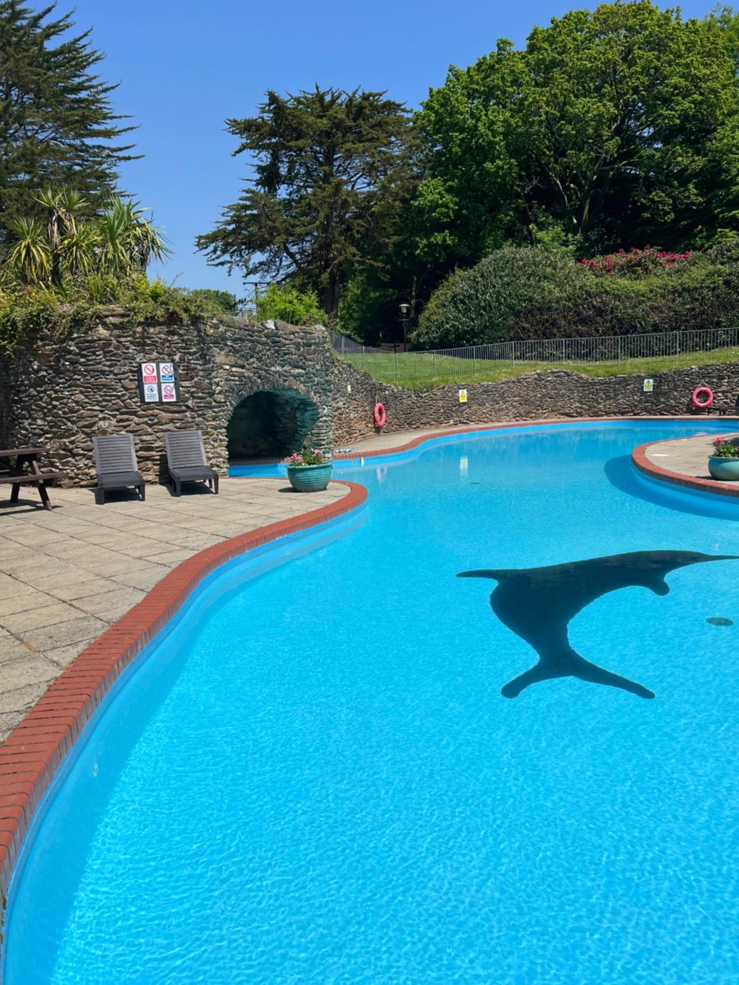 Hollyhocks Holiday Home- 2 Bedroomed Ground Floor Apartment Sleeps 5 Ivybridge Eksteriør bilde
